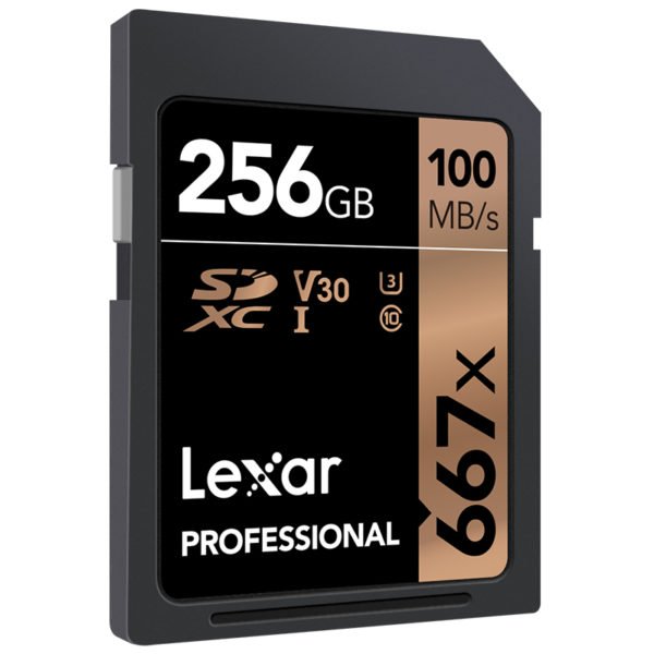 Lexar SD 667X Flash Card for Full HD Camera black gold_256G 2