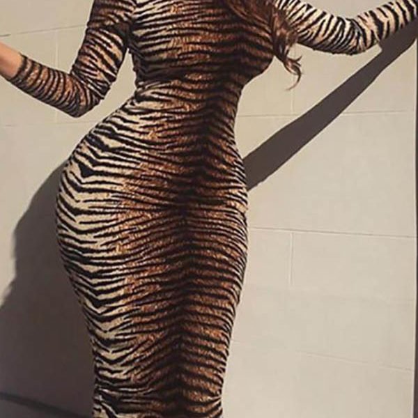 Lovely Chic Leopard Printed Knee Length Dress 2