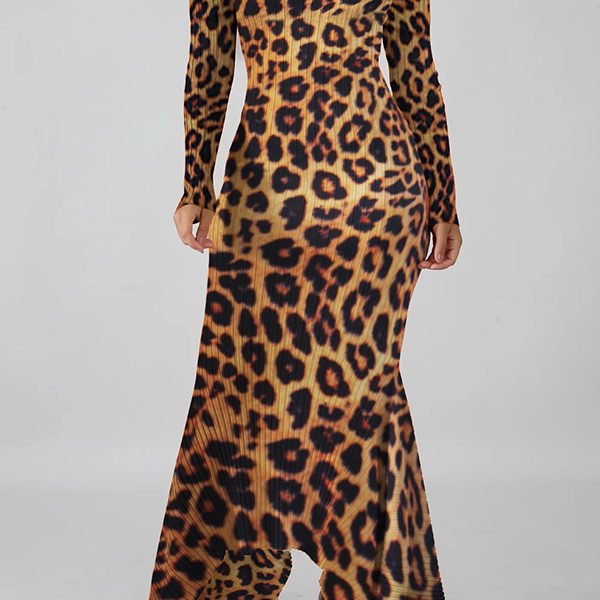 Lovely Casual Leopard Printed Ankle Length Dress 2
