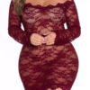 Lovely Sexy See-through Lace Wine Red Babydolls 3