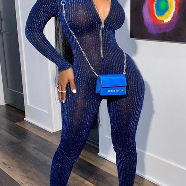 Lovely Trendy See-through Blue One-piece Jumpsuit 2