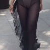 Lovely Chic See-through Black Pants 3