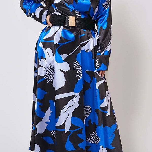 Lovely Casual Print Blue Ankle Length Plus Size Dress 2