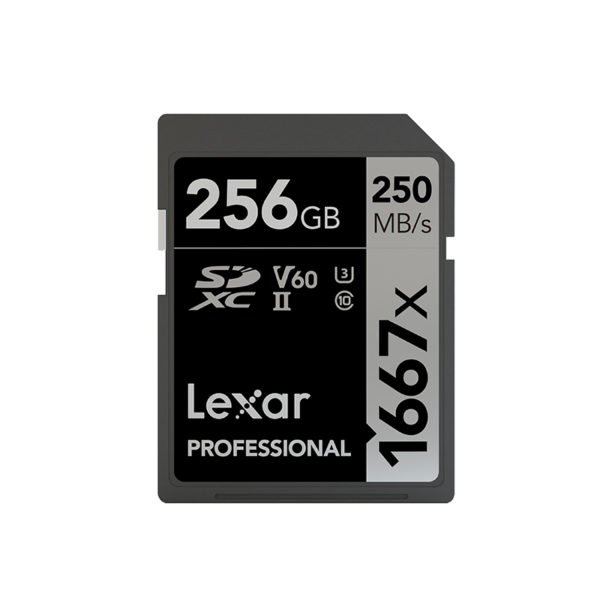 Lexar SD 1667X black_256G 2