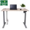 Adjustable Height Standup Motorized Table Ergonomic Office Furniture Standing Desk With Lifting Mechanism 3