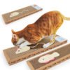 High Quality Toy Cat Scratcher Board with Scratcher 3