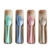 Eco Friendly Portable spoon fork chopsticks Wheat Straw Reusable Travel Biodegradable Tableware plastic cutlery sets with case 3