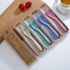Colored Travel Tableware Fork And Spoon Knife Wheat Straw Cutlery Set with Case 3