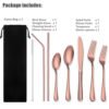 Stainless Steel Travel Camping Metal Cutlery Set and Straw Set With Case,Lunch Box Utensils, Portable Silverware Set 3