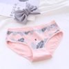 Fashion girl cotton printed panties women underwear comfortable Flamingo carton underwear 3