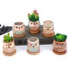 Mini Size Cute Owl Bonsai Pots Home and Office Decoration Desktop Ceramic Flower Pot 3