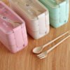 100% Food Grade Material Wheat Straw Leak Proof 3 Layer Food Container Lunch Box with spoon and fork 3