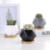 Wholesale geometric design small cute succulent pots ceramic pots for succulent plants 3