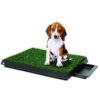 Hot selling Pet Supply Dog Pee Potty Pad, Bathroom Tinkle Artificial Grass Turf, Portable Potty Trainer with drawer 3
