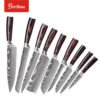 9pcs stainless steel Pakka wood handle kitchen knife set with high quality 3