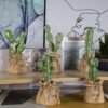 Realistic mini bonsai plants artificial cactus for desktop decoration 3