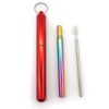 2020 New Arrival Eco Friendly Portable Reusable Collapsible Metal Stainless Steel Drinking Telescopic Straw with Brush Case 3