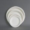 Biodegradable Disposable Sugarcane Bagasse Party Plate 3