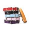 High Quality Dog Collar Pet 3