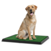 Artificial Grass Bathroom Mat for Puppies and Small Pets- Portable Potty Trainer for Indoor and Outdoor Use 3