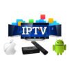 IPTV Reseller Panel Account of 1 Year IPTV Subscription USA Arabic India Europe M3U List for Android Mag250 254 Set Top Box 3