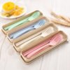 Plastic spoon fork chopsticks Wheat Straw Reusable Camping Biodegradable plastic cutlery 3