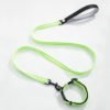 Nylon Braided Dog Leash And Collar Spray Dog Collar Leash Neon Color 3