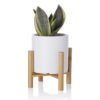 High White Porcelain Flower Pot with Wooden Stand 3