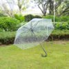 Disposable Clear Plastic Cheap PVC Transparent Umbrella 3