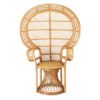 Customized Leisure Outdoor Wicker Chair Rattan Chair for Sale 3