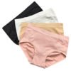 Seamless Comfortable Underwear Panties for Women Sexy Briefs and Hipster 3