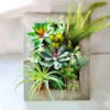Artificial Succulent Vine Wall Hanging For Wedding Home Office Hotel Decoration Plants Frame 3