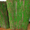 V-3023 Hot Selling Artificial Tree Bark with Moss for Decoration 3