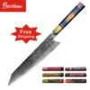 8 inch Stabwood Handle Japanese 67Layers Damascus Private Label Kitchen Chef Knife 3