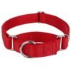 Kingtale Training Choke Nylon Martingale Dog Collars, Personalized Pet Collars 3