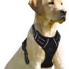 Kingtale No pull Adjustable Dog Harness Black Reflective Strong 3M For Large Dog Walking 3