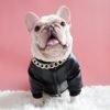 Factory wholesale Leather Pet Dog Clothes pet supplies Waterproof winter cat dog clothing dog apparel leather winter jacket 3