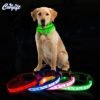 Reflective Personalised Custom Logo Martingale Buckle Smart Nylon Waterproof led light pet dog collar 3