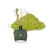 New design green rattan sticks reed diffuser in green glass bottle 3