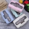 Biodegradable Compartment Leak Proof portable wheat straw bento lunch box with stainless steel cutlery set food storage for kids 3