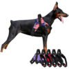 Manufacturers Wholesale Padded Pet Dog Harness with Handle 3