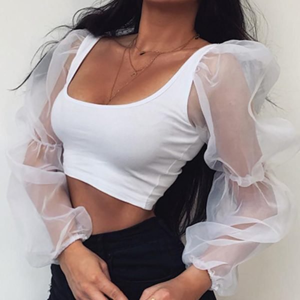 Solid Mesh See Through Crop Top 2