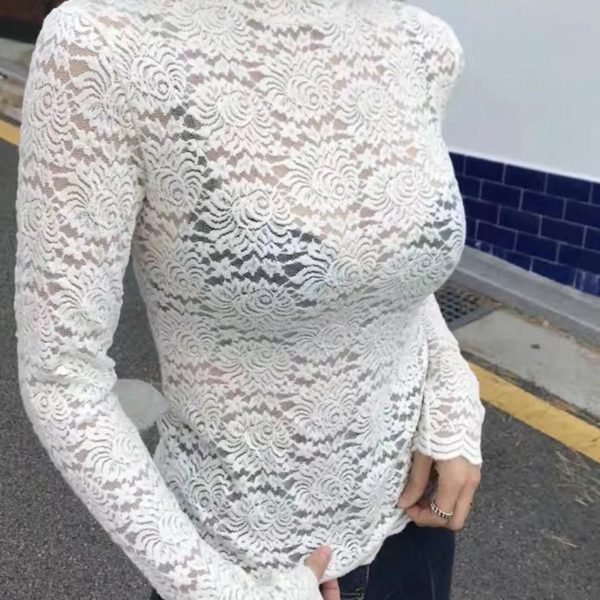 High Neck Mesh Lace Pattern Top 2