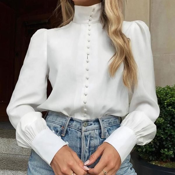 Solid Long Sleeve Single Breasted Blouse 2