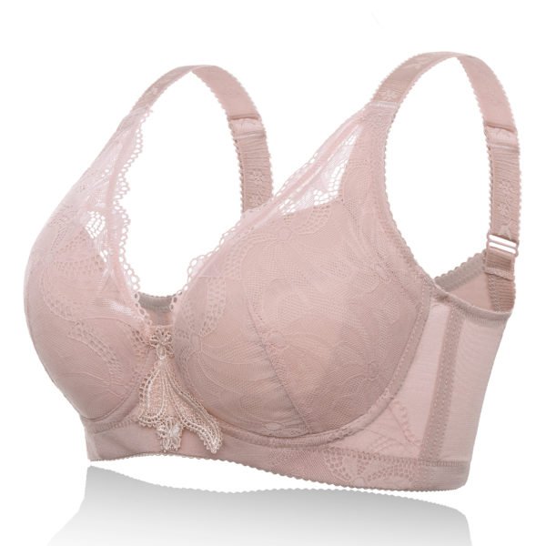 Nude Lace Details Elegant Bra with Underwire 2
