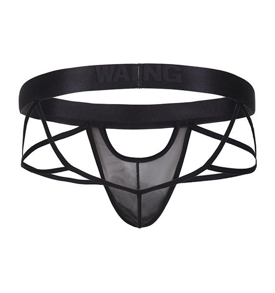 Men Sexy Net Yarn Transparent Briefs Mesh Underwear 2