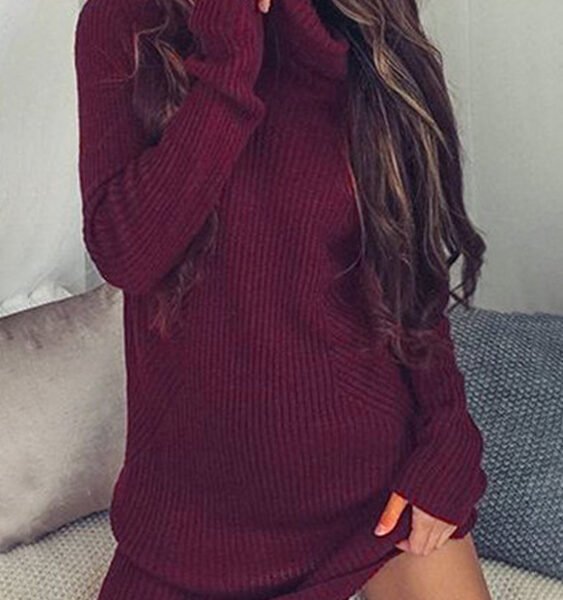 Burgundy Sexy High Neck Long Sleeves Knit Thin Casual Dress 2
